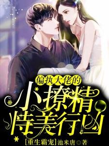 重生霸寵:偏執大佬的小撩精恃美行兇